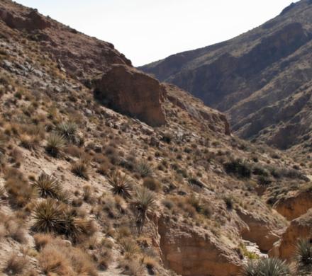RUTA PUTRE A SOCOROMA - Trekking Norte de Chile