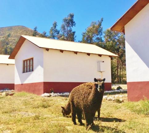 Habitación cuadruple STD